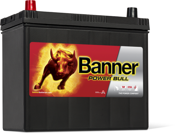 BANNER Type - 043 / 057 POWER BULL